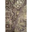 Floral Area Rug in Brown