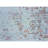 Oriental Indoor Rug-106952440