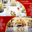 Décoration de Noël 5,5 pi