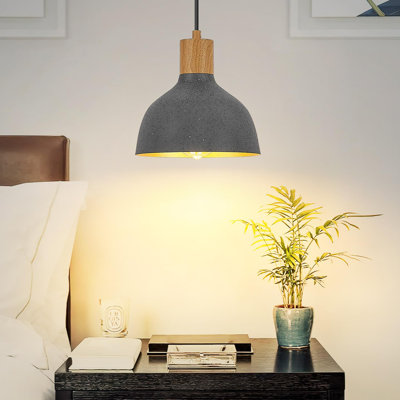 Jhanelle 1 - Light Dome Pendant