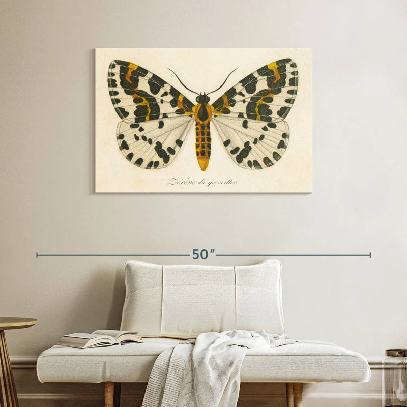 Brampt Natures Butterfly IV, 26" H x 39" W