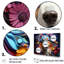 Chien berger australien Allure II-1995067166-1995067142
