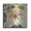 "Les Jardins II" par Lisa Audit-1909517299