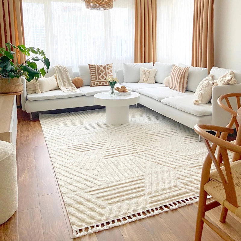 Tapis en coton Delsie, Rectangle 5 pi 11 po x 9 pi 11 po