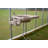 Mont Mojave 8' W x 24' D Greenhouse-14202974-96767649