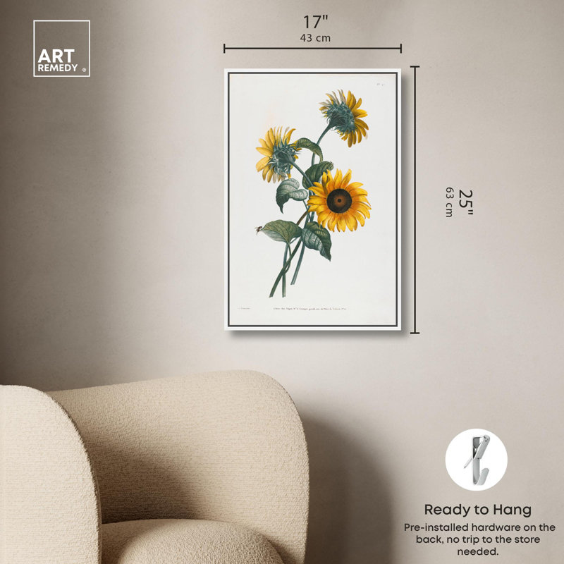 Art Remedy, impressions sur toile, tournesol, H 25 po x l 17 po, Cadre flottant blanc