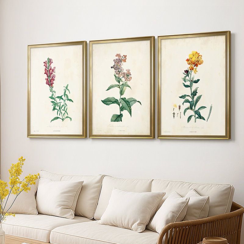 Traditional Botanical I - Toile tendue avec châssis sur mesure - 3 pièces, H 15 po x l 19 po, Doré