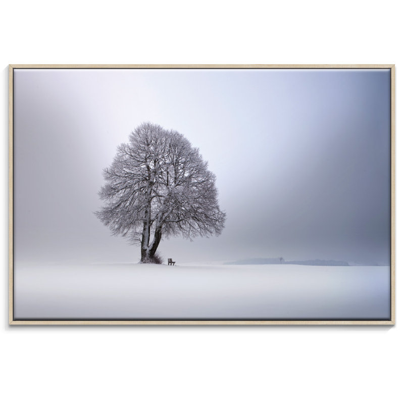 Print on Canvas, 103.5cm H x 153.5cm W, Floater Frame