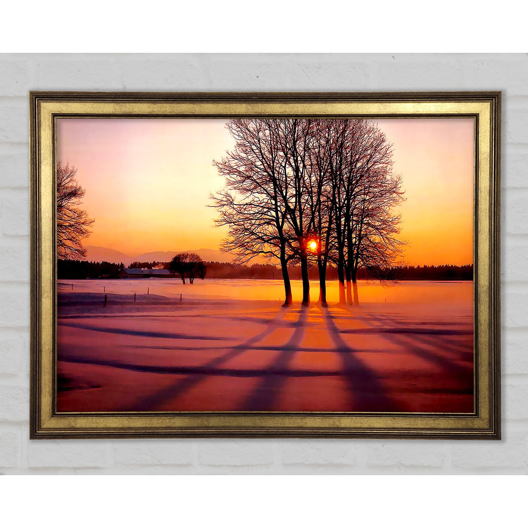 Winter Tree Sunrise Pinks - Einzelner Bilderrahmen Kunstdrucke