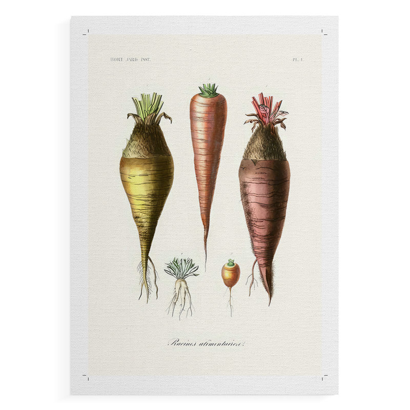 Variétés de fruits et légumes VI - Impression sur toile seulement - NON-CADRE, H 12 po x l 8 po