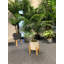 60cm Faux Palm Plant in Pot Liner