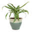 Jardinière extérieure Berlina-1293001909-1292973036