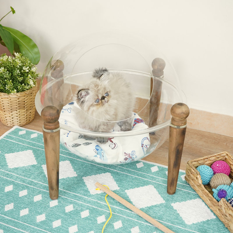 Thad Pet Bed, Clear