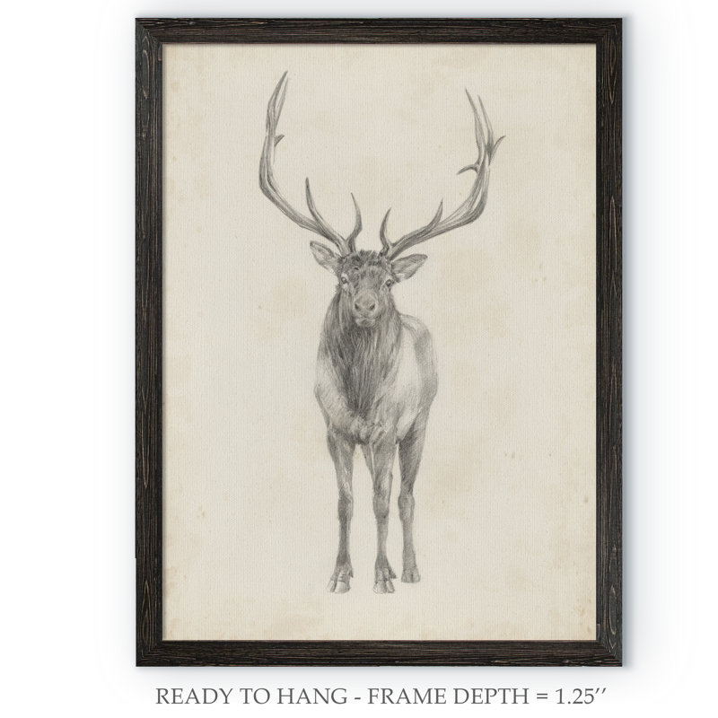 « elk study » par paul cezanne-photo-cadre, reproduction d’art, H 30 po x l 22 po x P 1,25 po