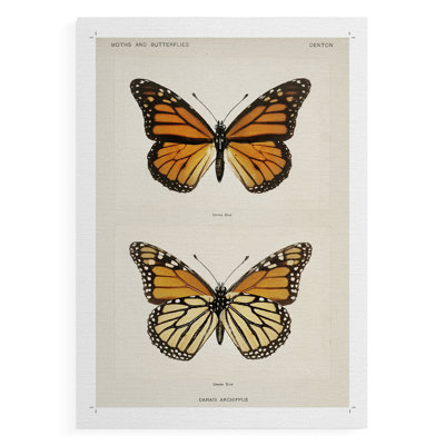 Reproduction d'époque rétro d'un animal, impression sur toile - non encadrée