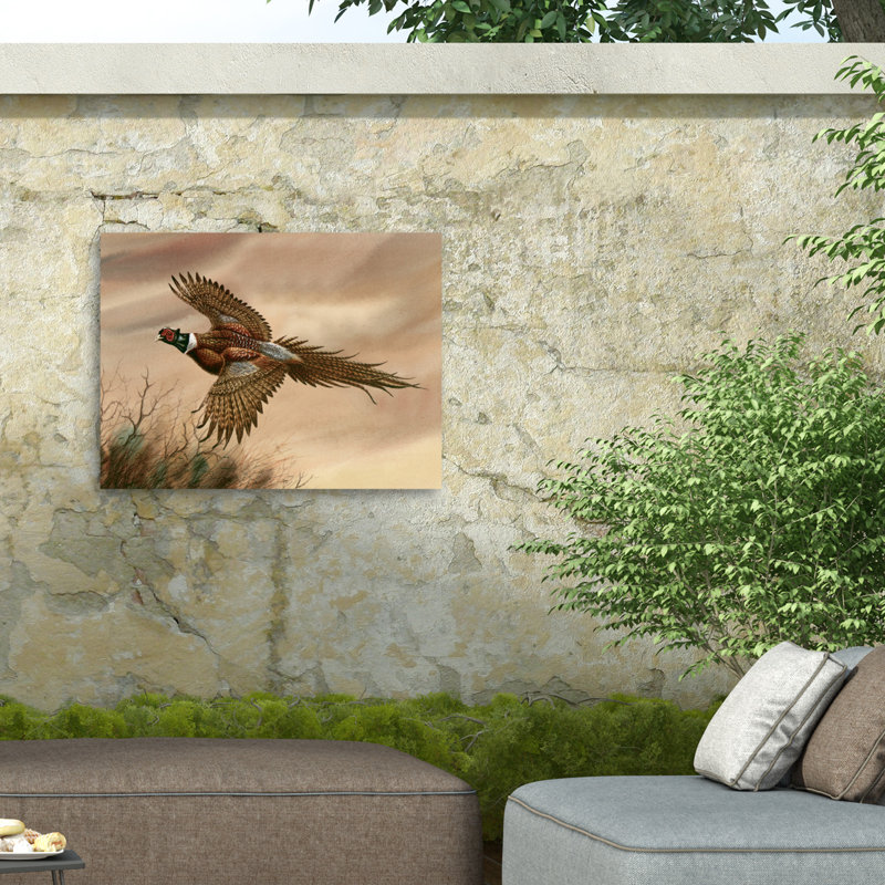 Toile pour l'extérieur «Dave Bartholet Pheasant», H 35 po x l 47 po