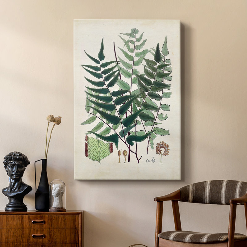 Collection Ferns VII - galerie sur mesure, H 27 po x l 18 po