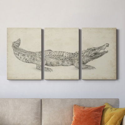 " Crocodile Sketch " 3 - Pieces