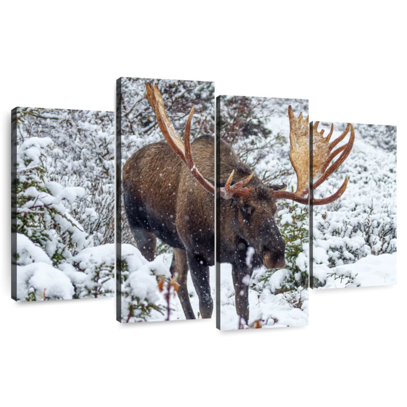 Brampt Moose In Winter, 27" H x 43" W