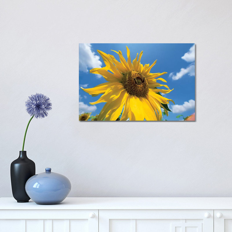 Common Sunflower with Blue Sky and Clouds I 1 Piece Wrapped Canvas Wall Art, 30.48cm H x 45.72cm W x 1.91cm D