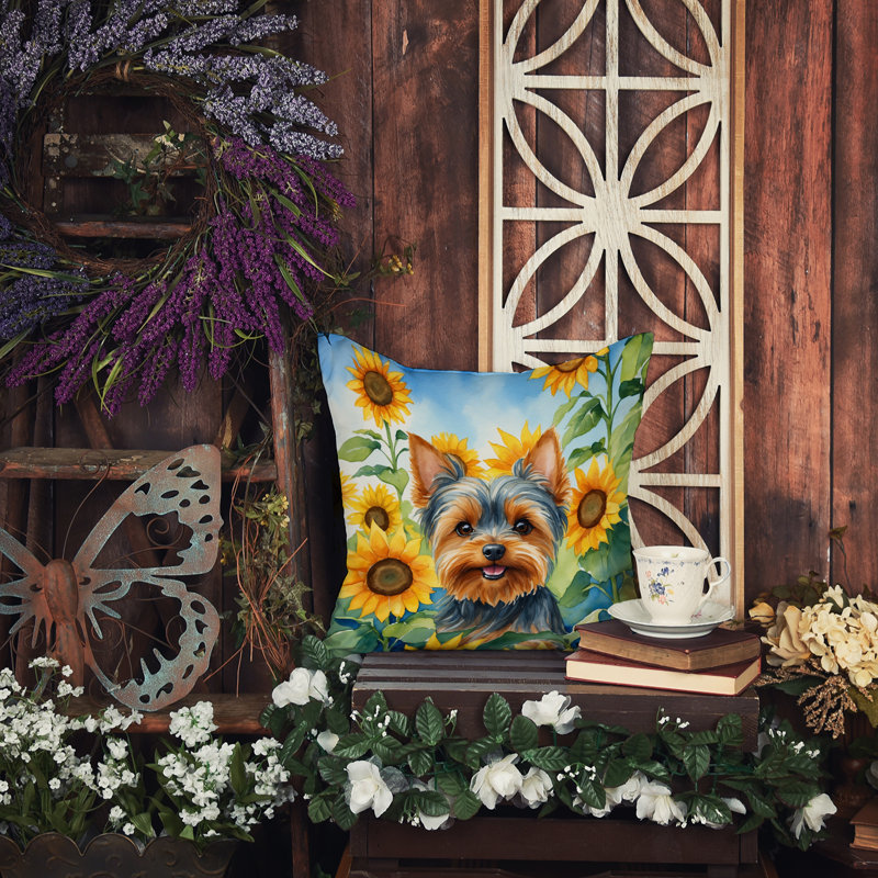 Coussin décoratif intérieur / extérieur Autre / Sans motif, H 14 po x l 14 po