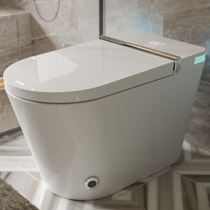 ARRISEA Smart Bidet Toilets with Auto Open Lid, Heated Seat, Warm Washing, Dryer, Auto Flushing