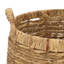 Ensemble de 2 paniers Bucky