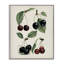Giclée encadrée par Natural-564627468-564627471