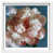 White Frame est en rupture de stock