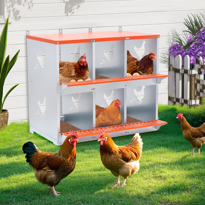 Boîte de nid en métal pour poules et canards | Acier galvanisé ventilé pour faciliter la collecte des œufs