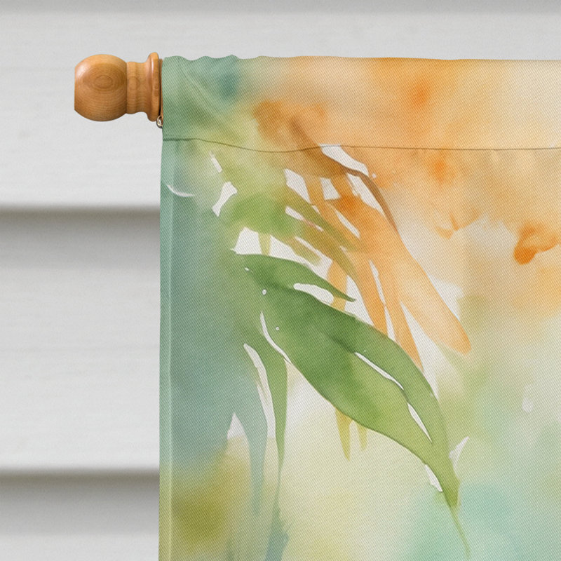 House Flag, Sun Conure