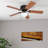 Alvina 42" Ceiling Fan