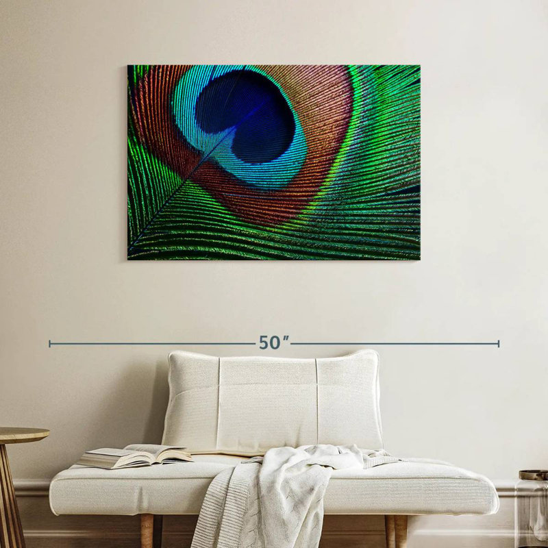 Fine Peacock Feather, 26" H x 39" W