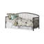 Lit de jour simple en métal Aagand-1535486499