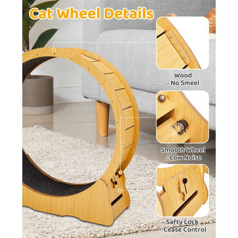 Large Treadmill Cat Exercise Wheel For Running Silent, Small (41.7"H x 13.4"W x 39.4"L)