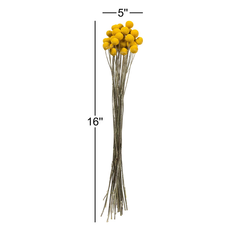 Preserved Arrangement
