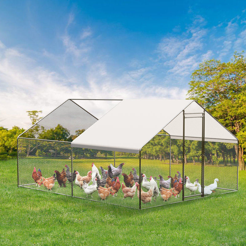 12m² Chicken Coop, 200cm H x 300cm W x 400cm D
