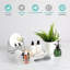 Shufelt Plastic Desk Organiser