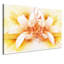 Print on Canvas-25472648