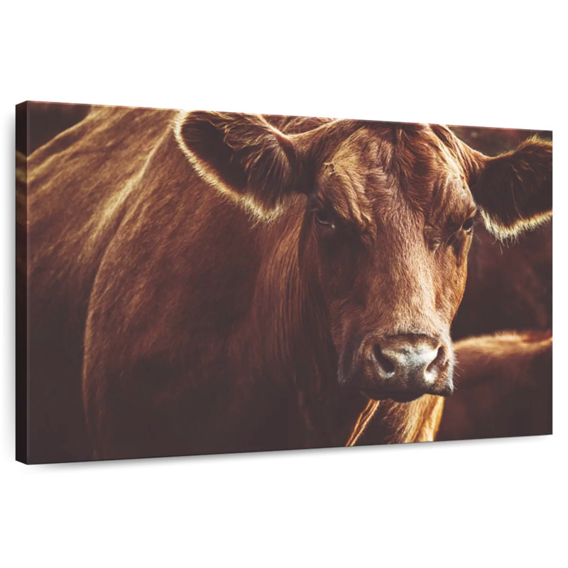 Brampt Expressive Brown Cow, 30" H x 45" W