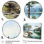 Pine Tree Reflections II - Reproduction d'art mural pin-249828238-249828224