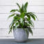 Ensemble de pots à fleurs 3 pièces-516122976