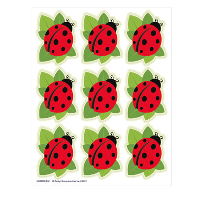 Accessoire éducatif de coccinelles