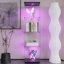 Vitrine à DEL avec 4 tablettes vitrées avec porte et bibliothèque au sol