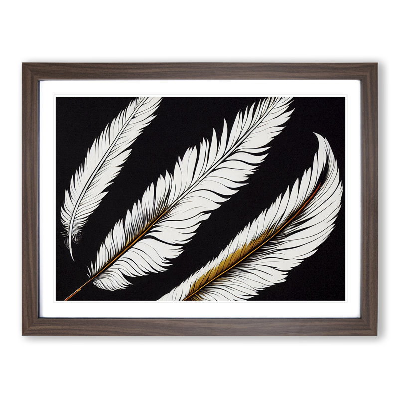 Groovy Bird Feathers - Framed Print, 34cm H x 46cm W x 2cm D, Walnut Framed