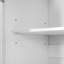 Accent Cabinet-1023280432