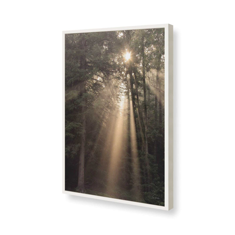 «Enlighten Your Soul» par Lori Deiter, reproduction d'art, 20 W x 30 H, White, Framed Print