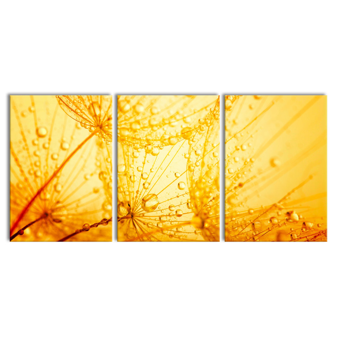 'Dandelion Seeds with Dew' Multi-Piece Image on Canvas
