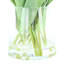 Tulipes disposées dans un vase en verre