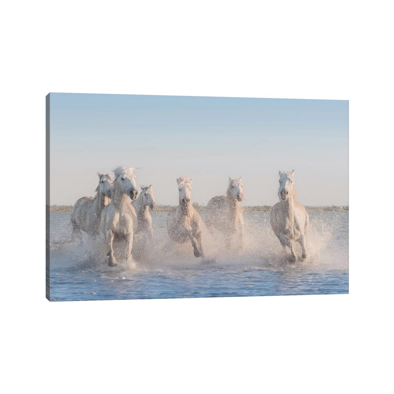 White Angels Of Camargue II by Daniel Kordan - Print on Canvas, Wrapped Canvas, 20.32 cm H x 30.48 cm W